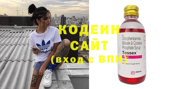 2c-b Бородино