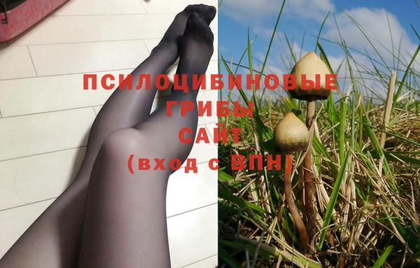 ПСИЛОЦИБИНОВЫЕ ГРИБЫ Бугульма