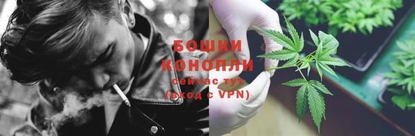 2c-b Бородино