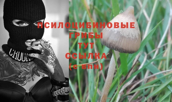 2c-b Бородино
